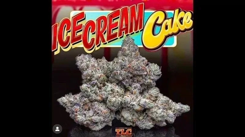 ICE CREAM CAKE Premium  EXOTIC Hybrid Cannabis Strain