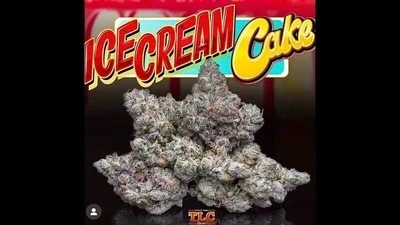 ICE CREAM CAKE Premium Hybrid Cannabis Strain