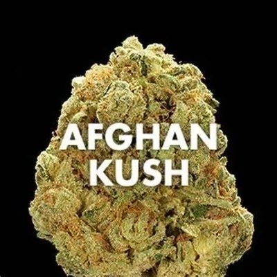 AFGHAN KUSH  Premium LAND RACE Cannabis Strain