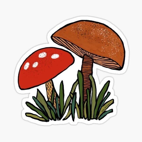 Magic Mushroom Chocolate Bars- SHROOMERZ????????????