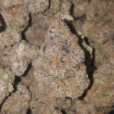NEW ?BISCOTTI EXOTIC INDICA Hybrid Cannabis Strain? NEW ?BISCOTTI EXOTIC INDICA Hybrid Cannabis Strain?
