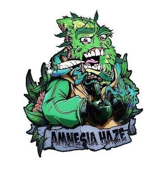 "NEW STOCK" - AMNESIA HAZE Cannabis strain, Dutch classic, U.K favorite 2, 4, 7, 14 28 grams (PROMO)