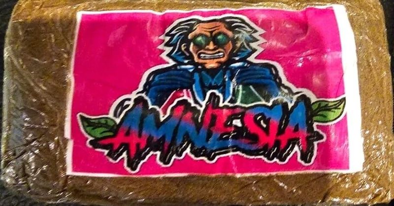 Amnesia Hash