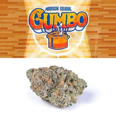 NEW 1/7/25? GUMBO EXOTIC CALIFORNIA Cannabis strain?29=%POWER