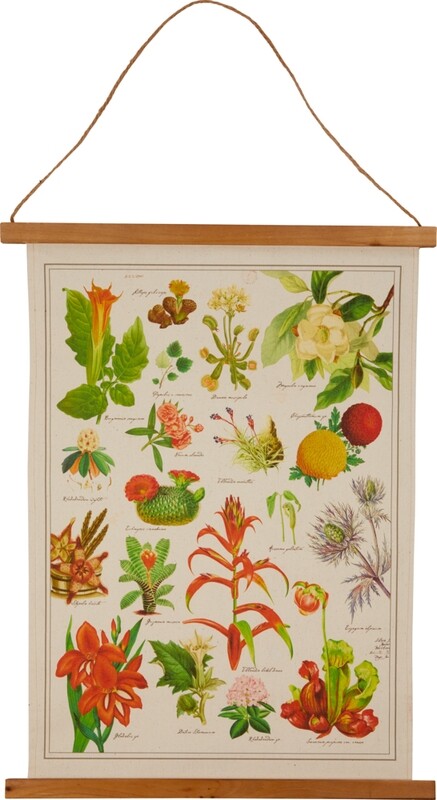 Historische Bildtafel - Illustr. Pflanzenwelt (ca. 45x60 cm)