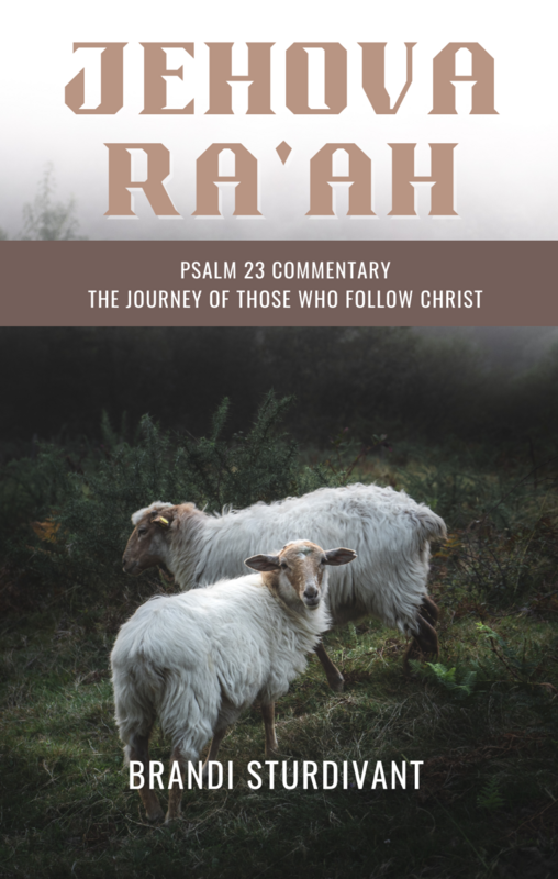 Jehovah Ra&#39;ah - Psalm 23 Commentary The Journey of Those who Follow Christ.