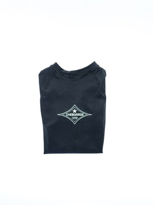 Long Sleeve Lycra