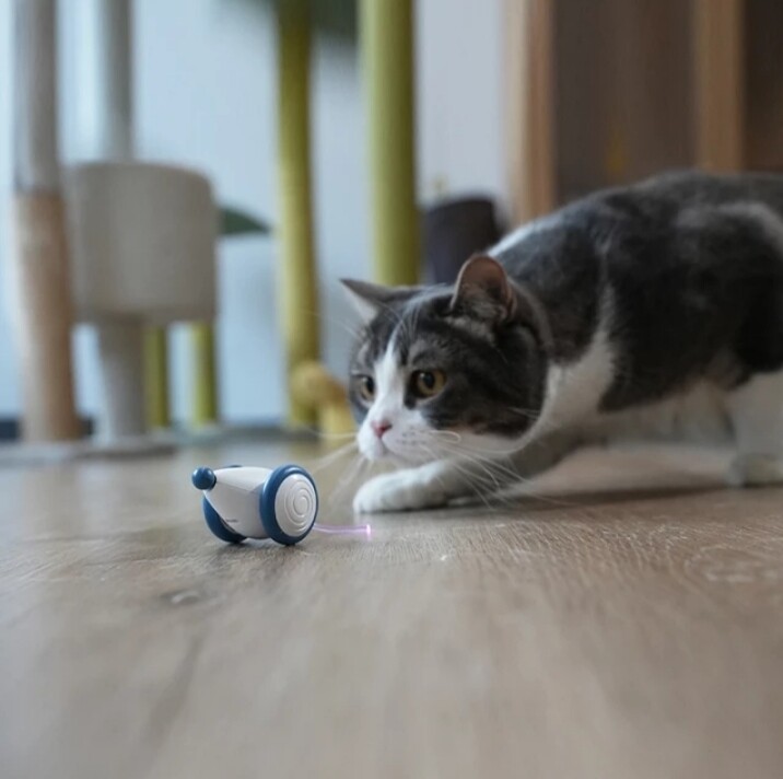 Pixie Mouse Interactive Toy