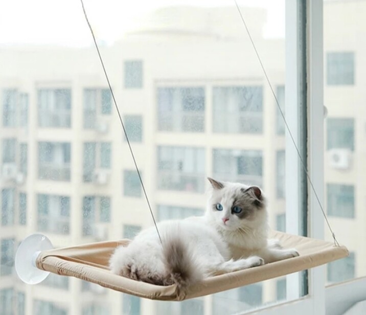Cat Window Perch
