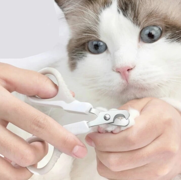 Pet Nail Scissors