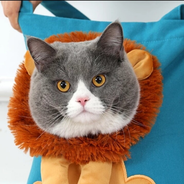 Lion Shaped Pet Carrier Bag
