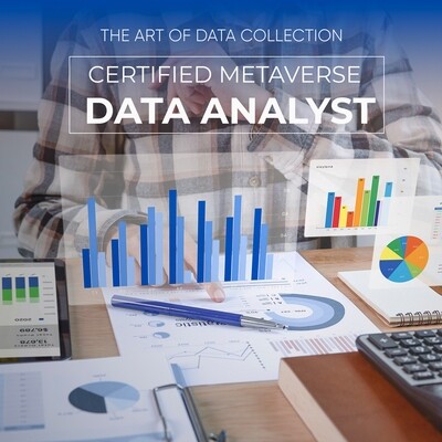 Metaverse Data Analyst