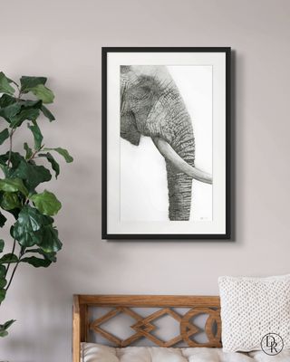 Limited Edition Giclée Prints