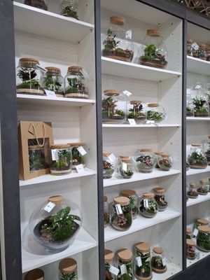 Terrarium