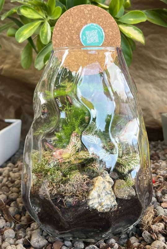Terrarium