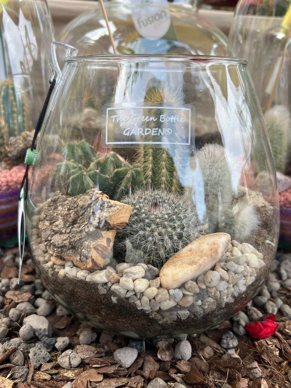 Terrarium