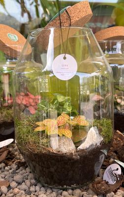Terrarium