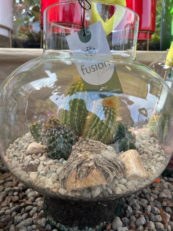 Terrarium