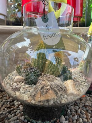 Terrarium