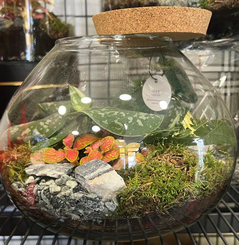 Terrarium