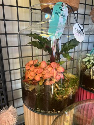 Terrarium