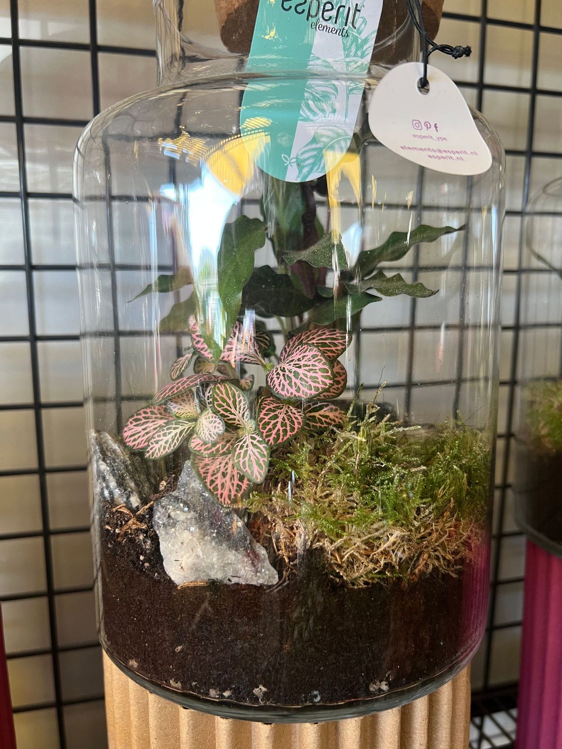 Terrarium