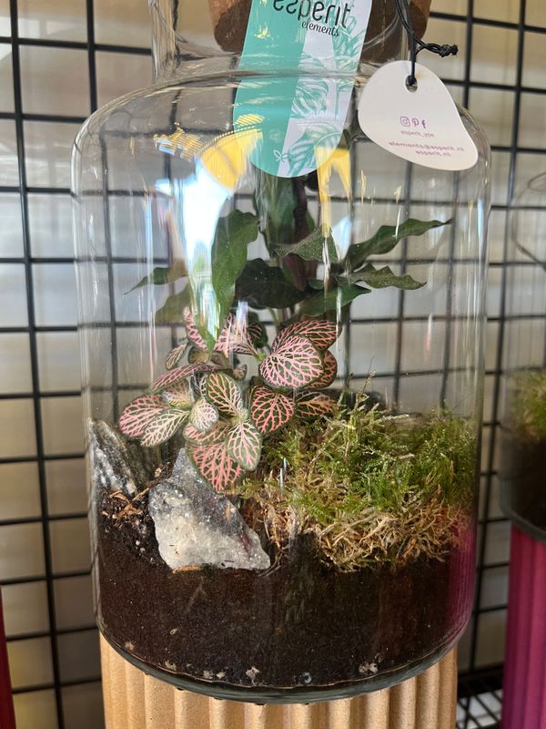 Terrarium