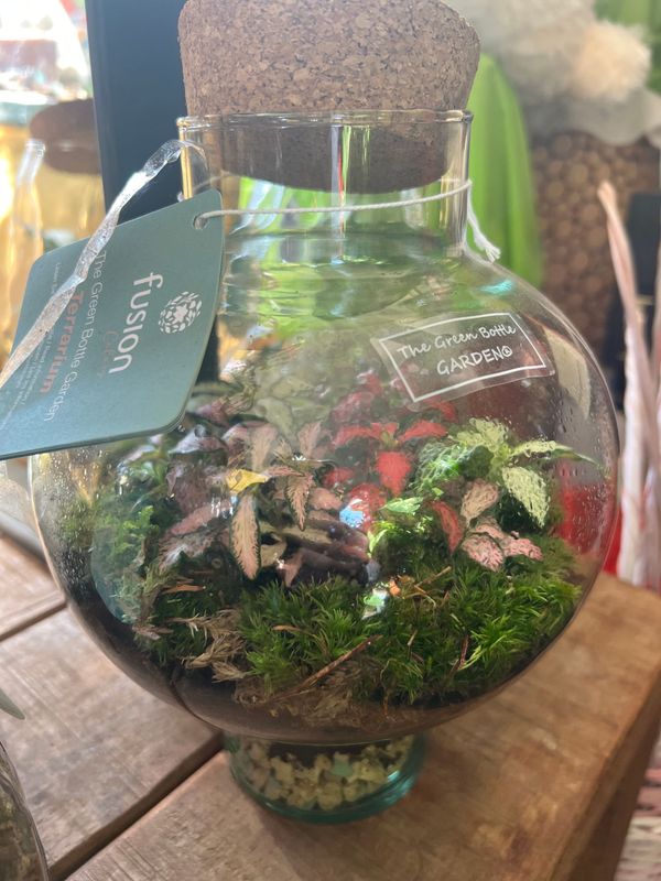 Terrarium