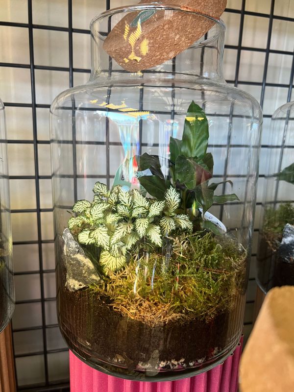 Terrarium