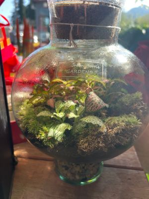 Terrarium