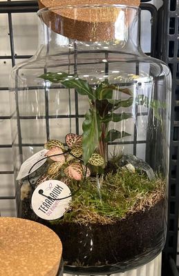 Terrarium G