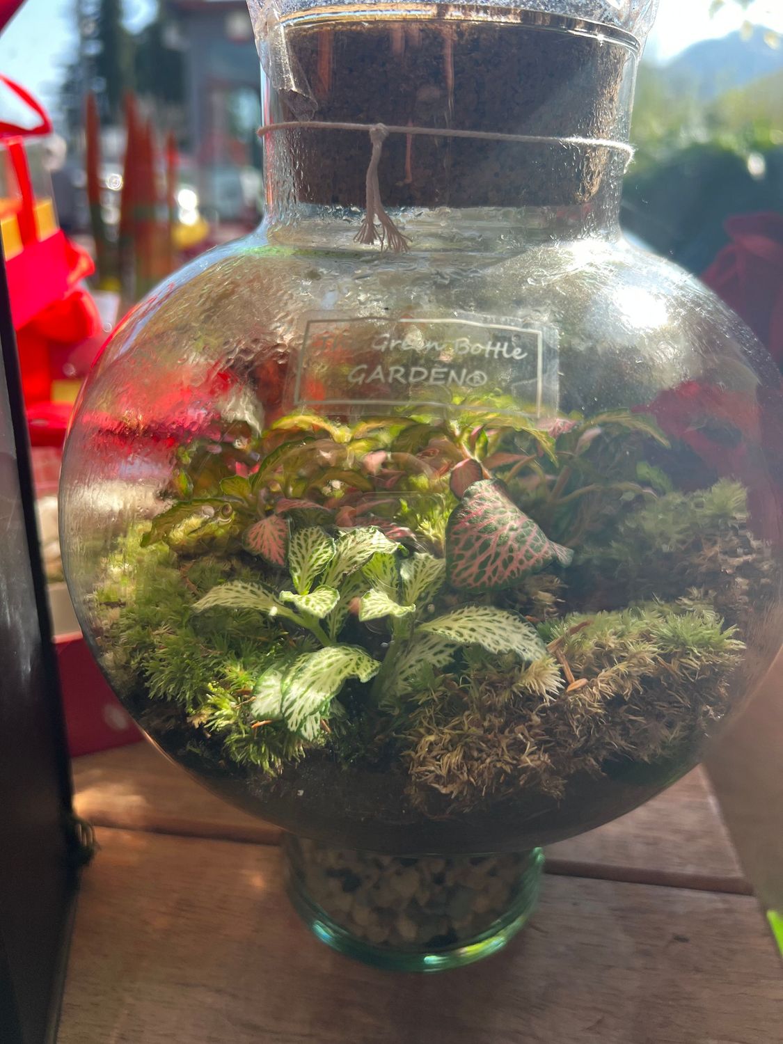 Terrarium M