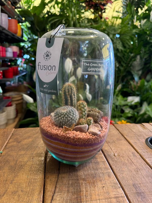 Terrarium E Terrarium E
