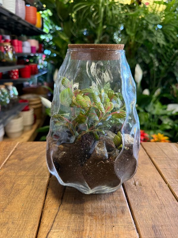 Terrarium I Terrarium I