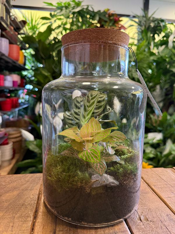 Terrarium L Terrarium L