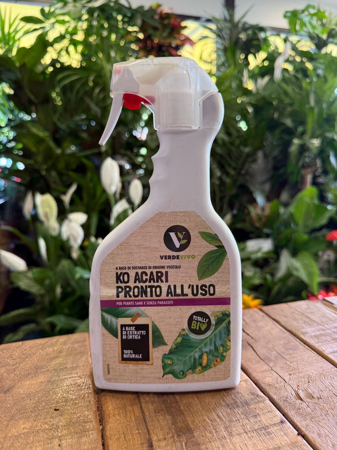 Insetticita Naturale Insetticita Naturale