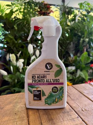 Insetticita Naturale