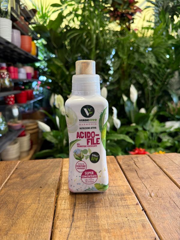 Fortificante per piante acidofile