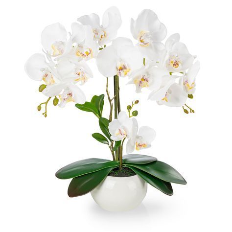 Composizione Orchidee Ceramica Composizione Orchidee Ceramica
