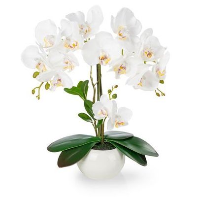 Composizione Orchidee Ceramica Composizione Orchidee Ceramica