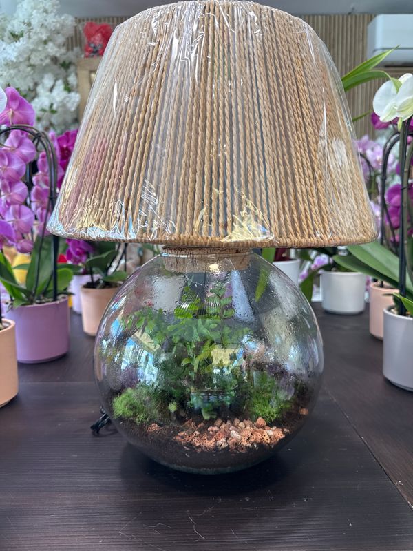 Terrarium G