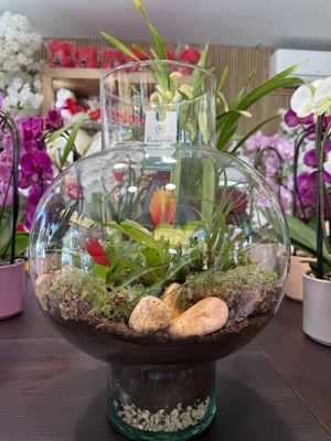 Terrarium B