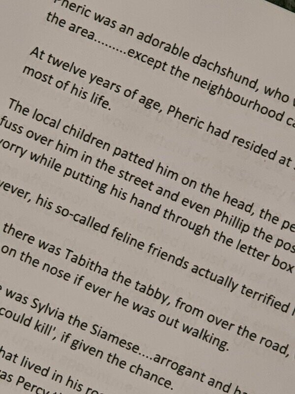 Pheric was an adorable dachshund 183
