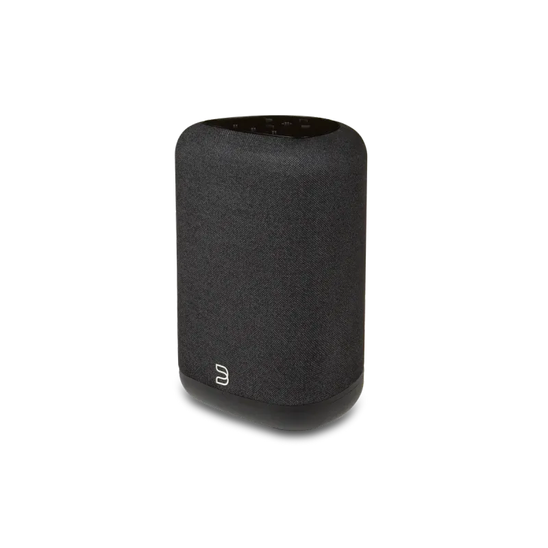 BLUESOUND PULSE FLEX