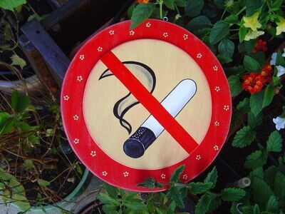 HinweisSchild * Rauchen verboten!