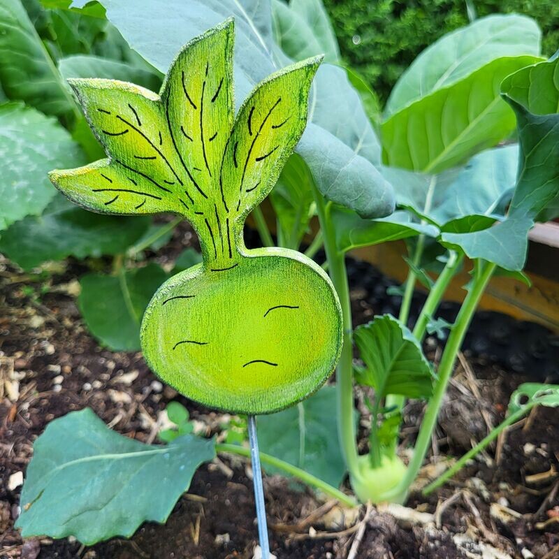 GemüseStecker * Kohlrabi