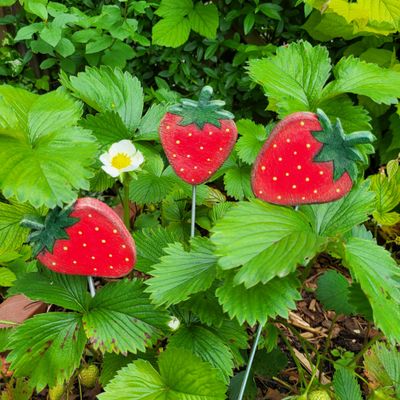 ObstStecker * Erdbeere