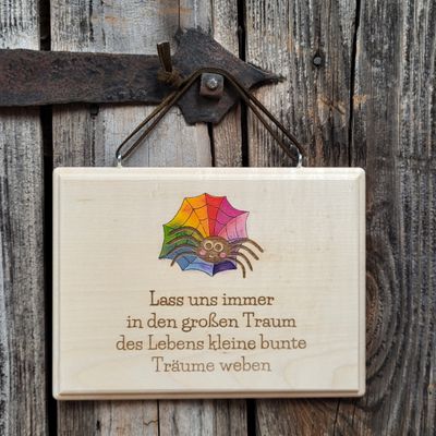 SpruchSchild * RegenbogenSpinne