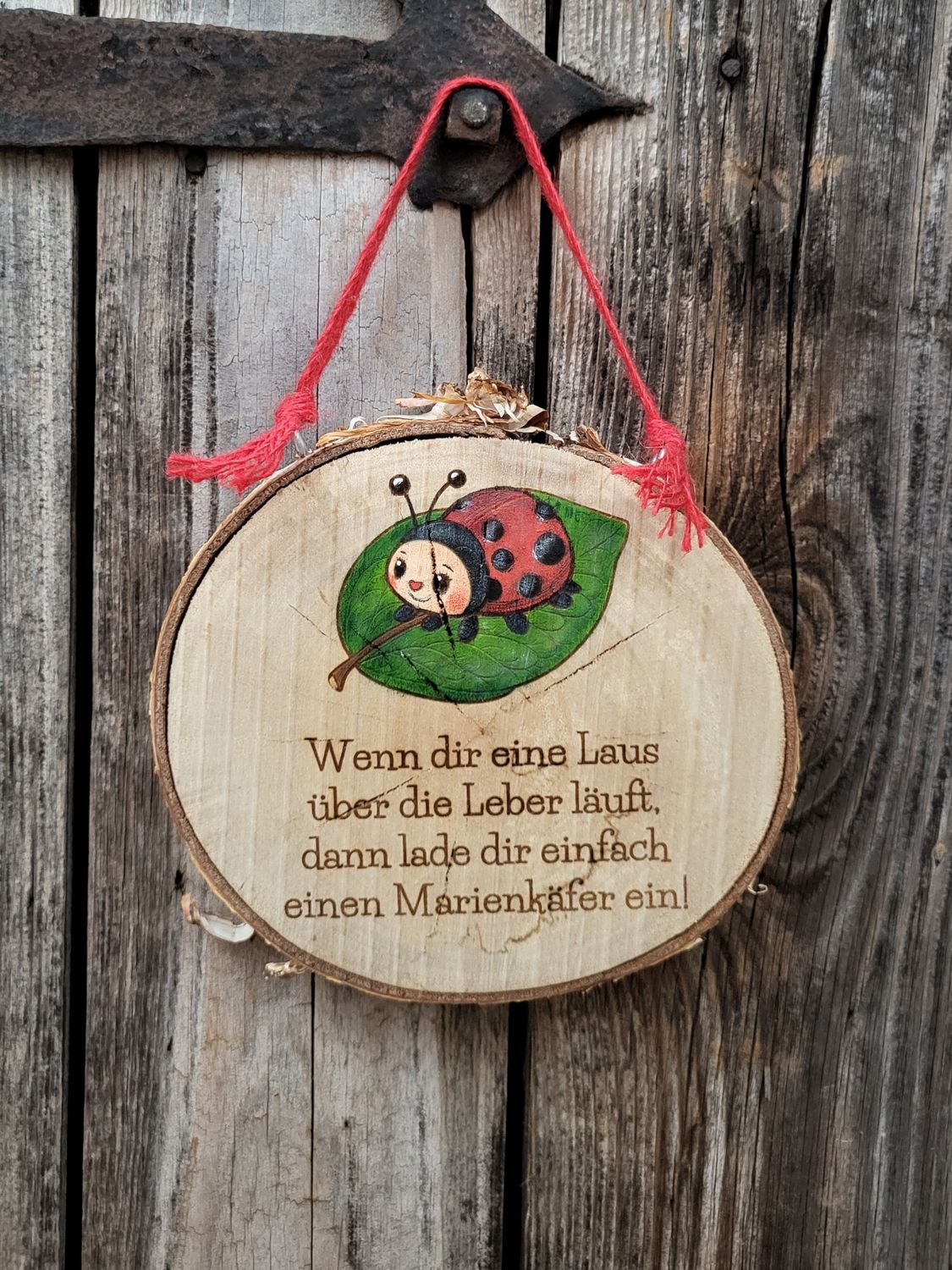 BirkenHolzScheibenSchild
