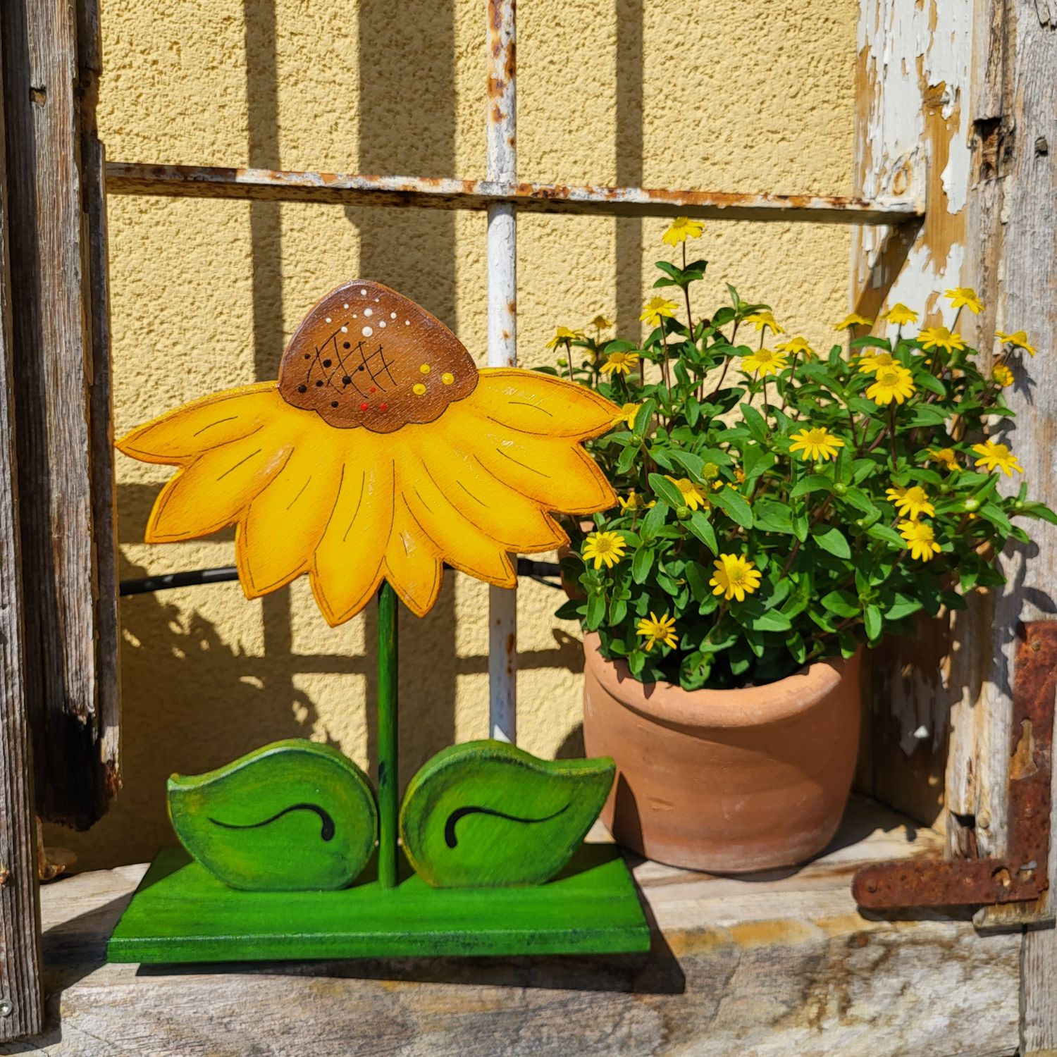 Großes SonnenBlümchen * gefiedert